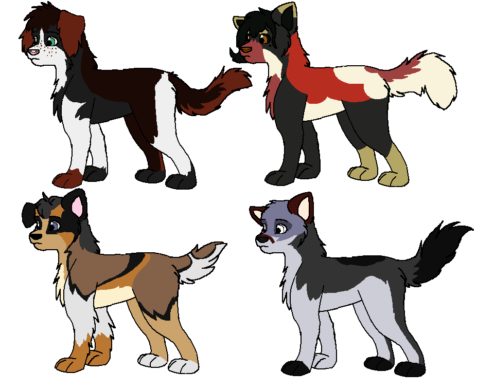 Fan pups
