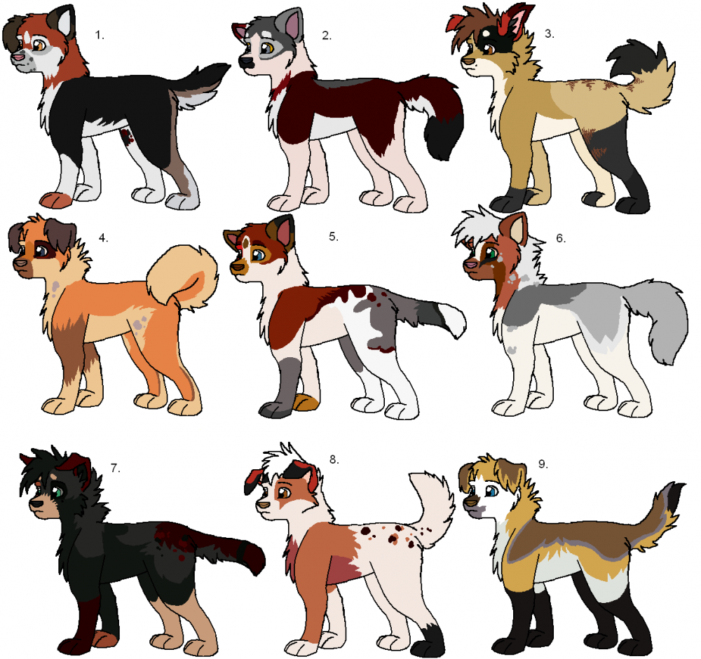 Fan Pups
