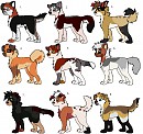 Fan Pups
