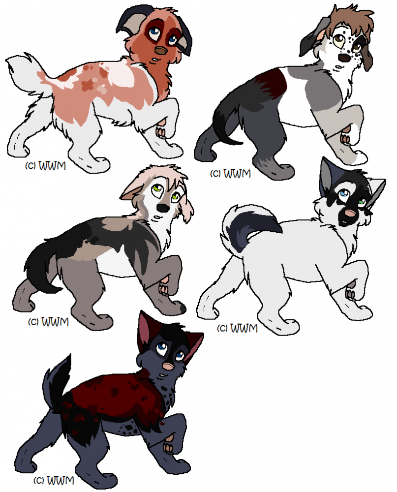 NormxAvian Babies