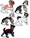 NormxAvian Babies