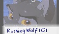Rushing Wolf 101