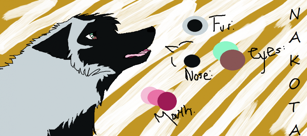 ..:Nakota Reference Sheet:..