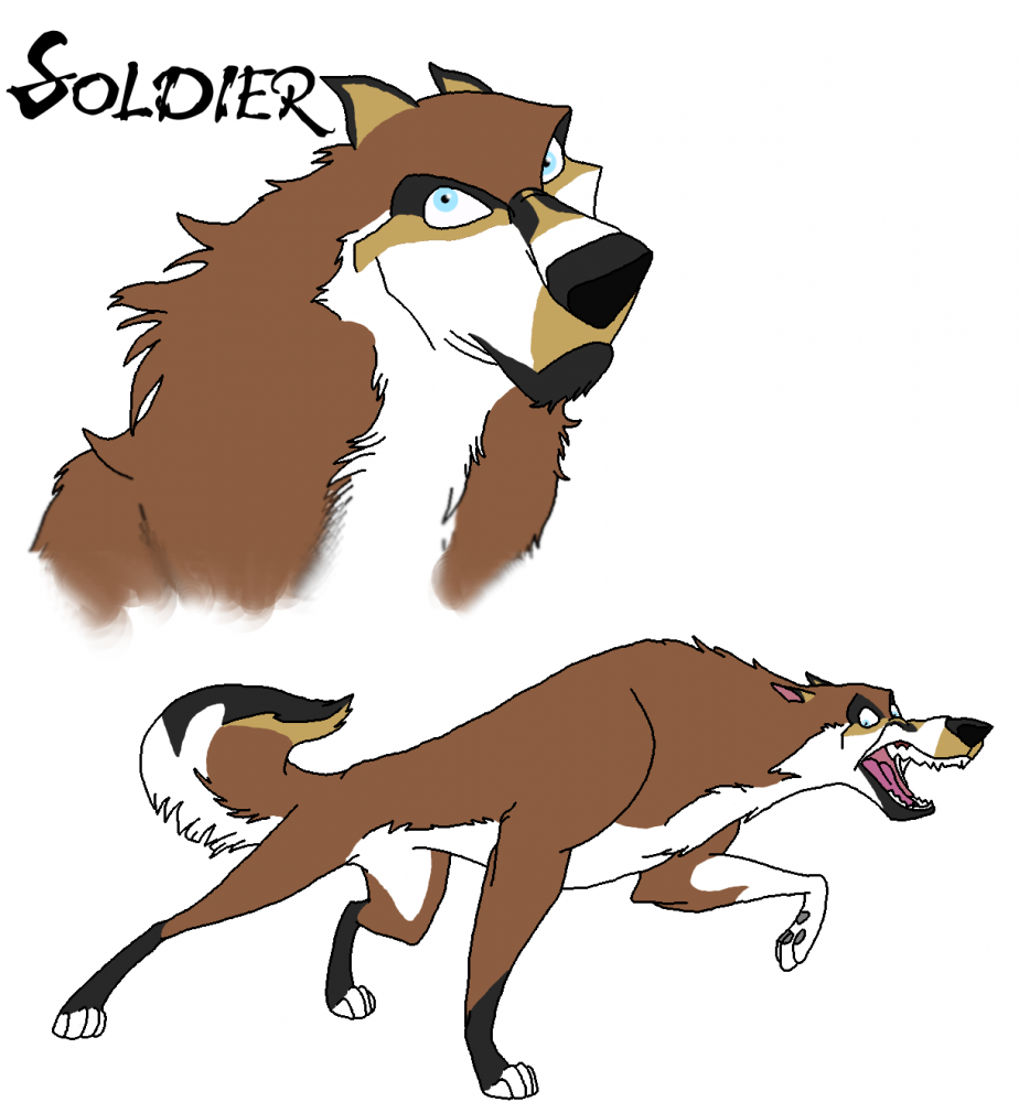 Soldier ref