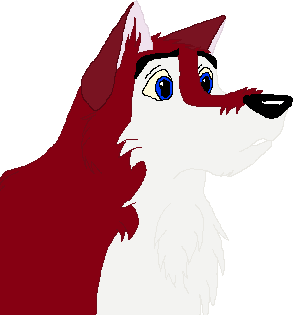 Dingo