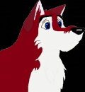 Dingo