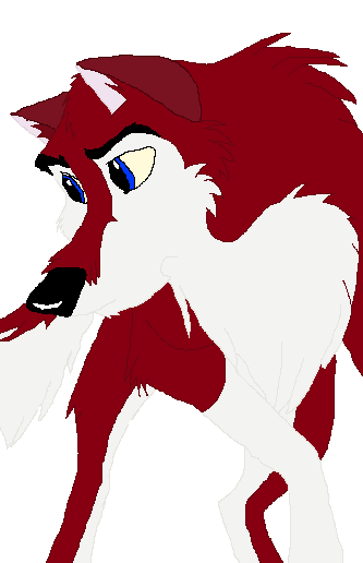 DDDDD..Dingo!