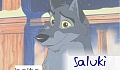 Saluki
