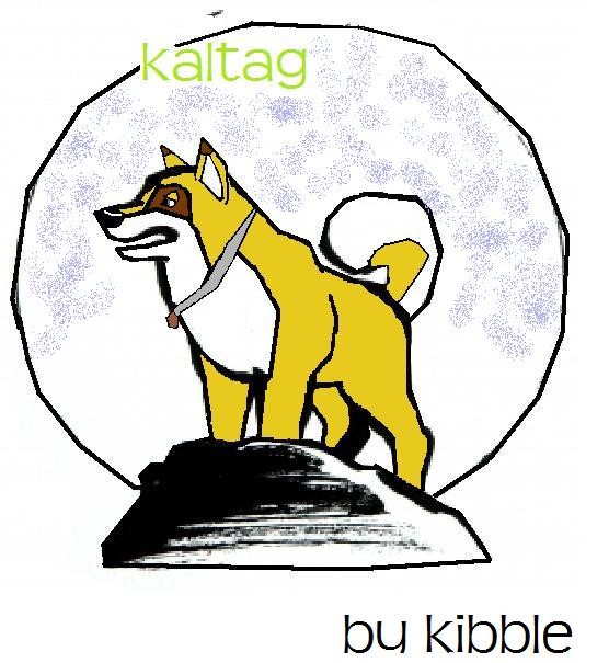 kaltag