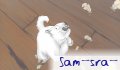 sam_sra_