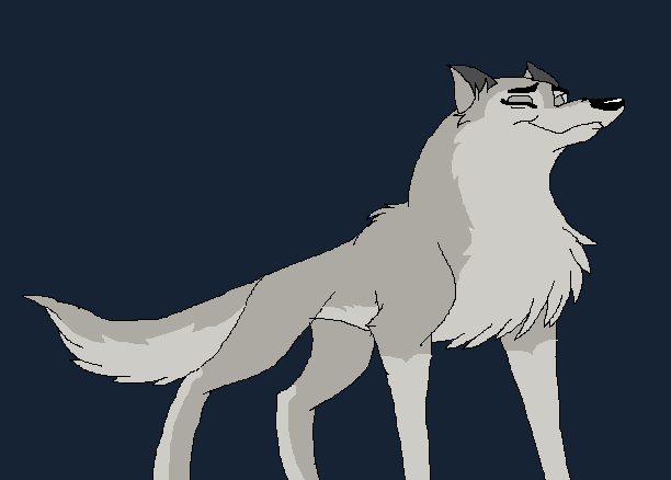 Gift for Killer Bee//Tundra~