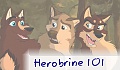 Herobrine 101