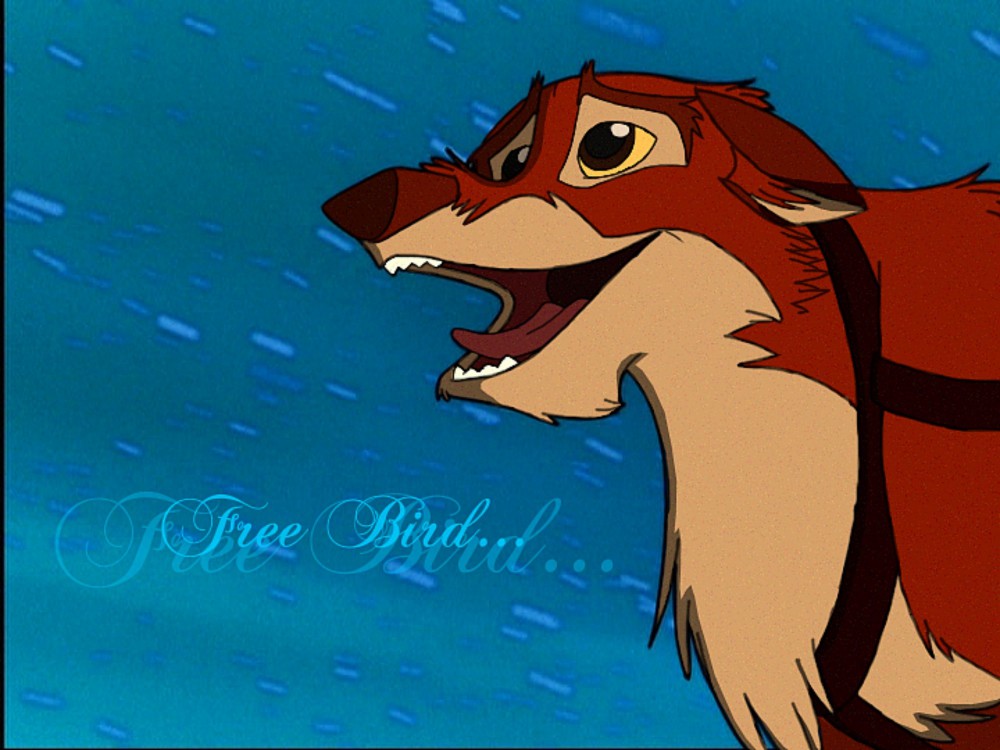 Free Bird