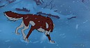 The Cold Journey