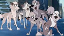 Star's big family (Request for Crona)