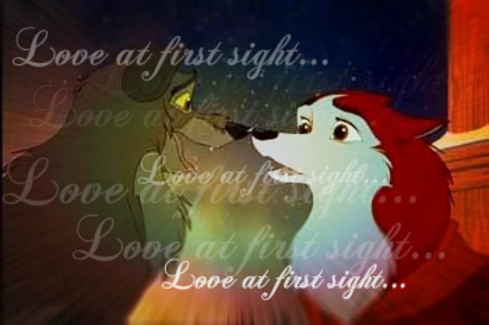 Love at first sight...
