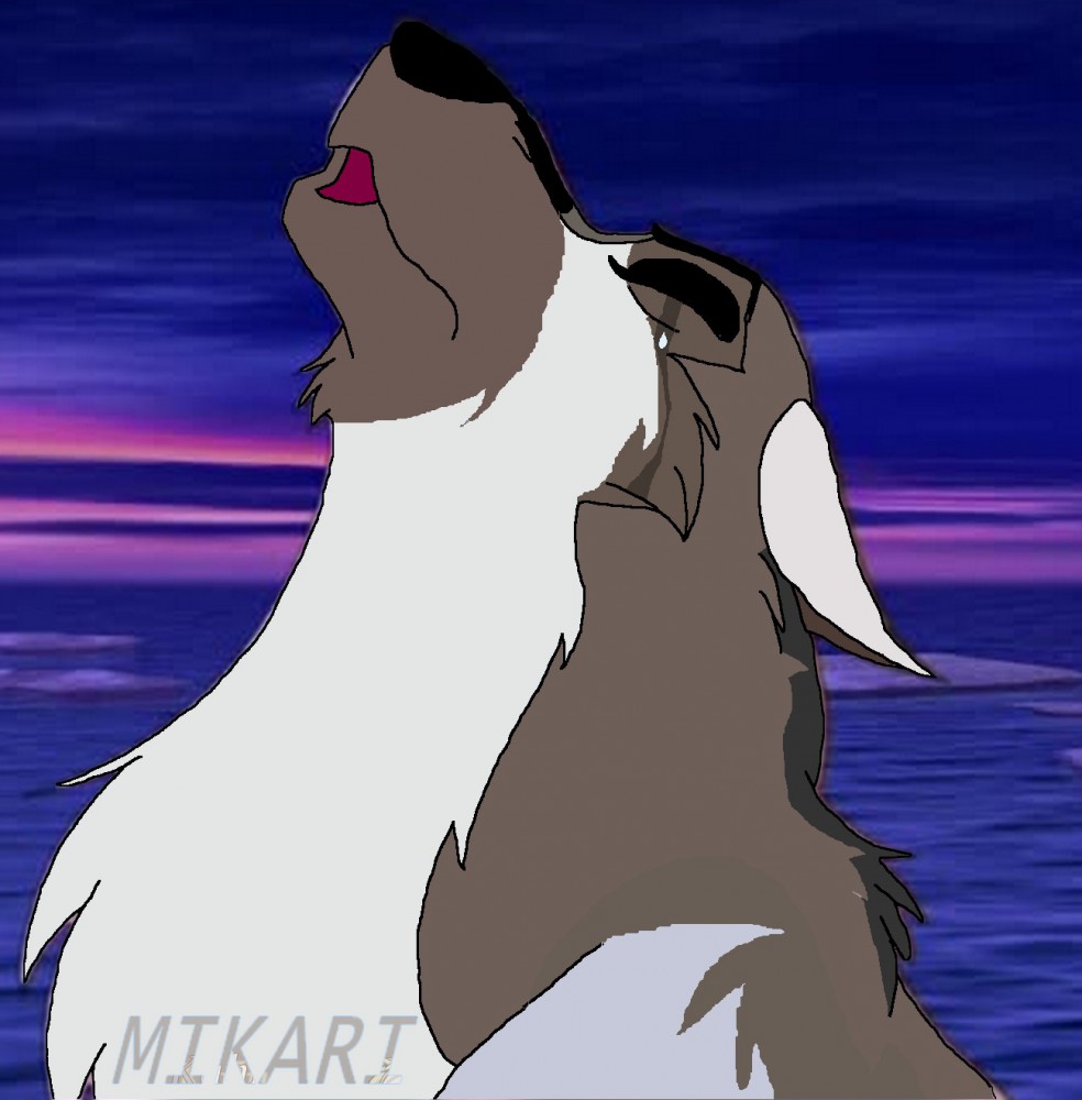 New perso: mikari