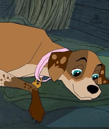 Mia for Meerkatcute