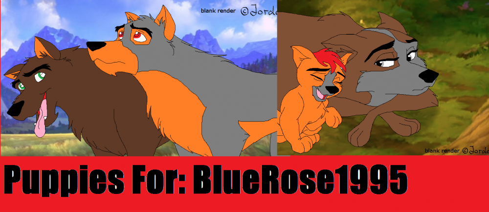 For BlueRose