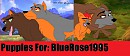 For BlueRose