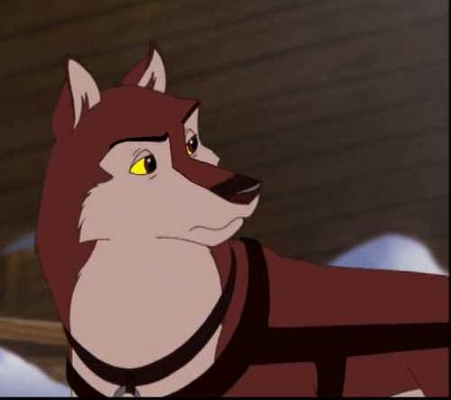 Diego: The Lead Dog