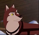 Diego: The Lead Dog