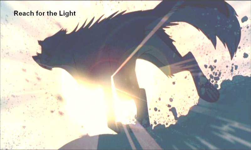 Reach for the Light