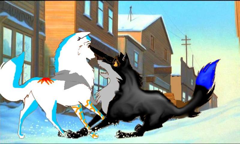 Quynan and Seader
