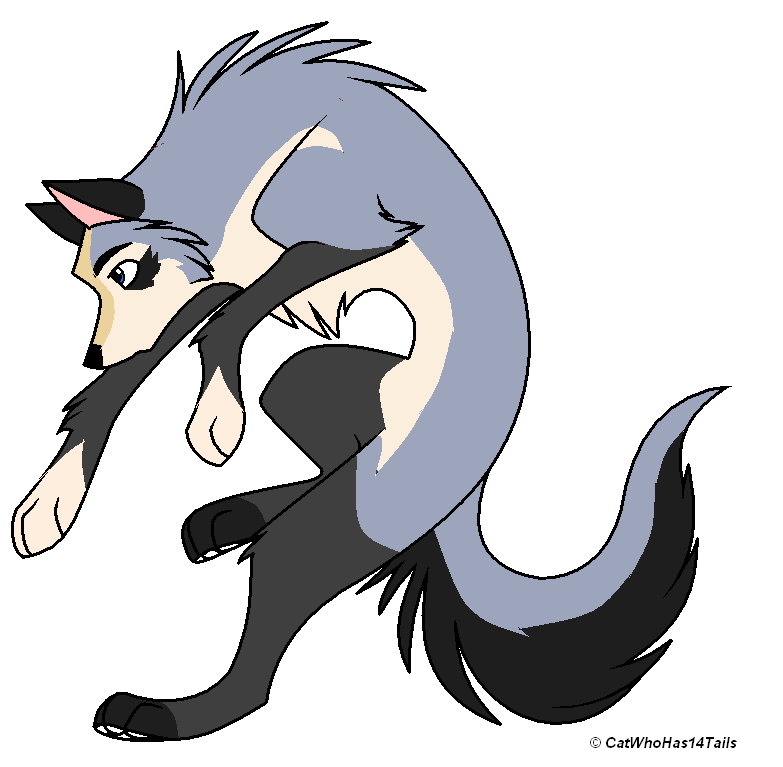 K & K Fan Puppie ^ ^