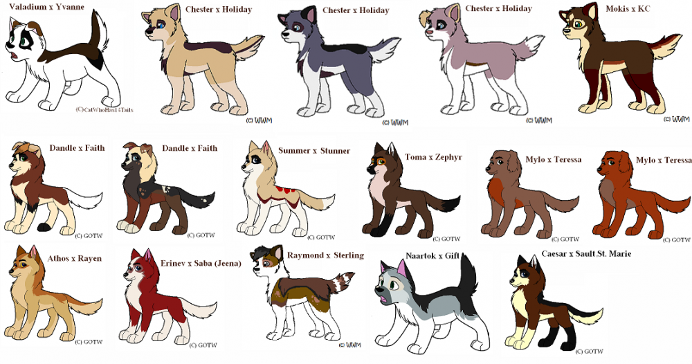 Fan puppy mania
