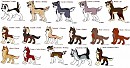 Fan puppy mania