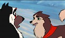 Ashar and Dei