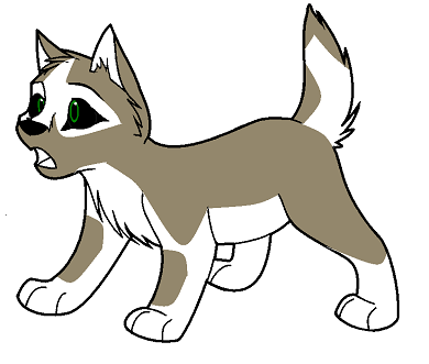 Pup Johtaja