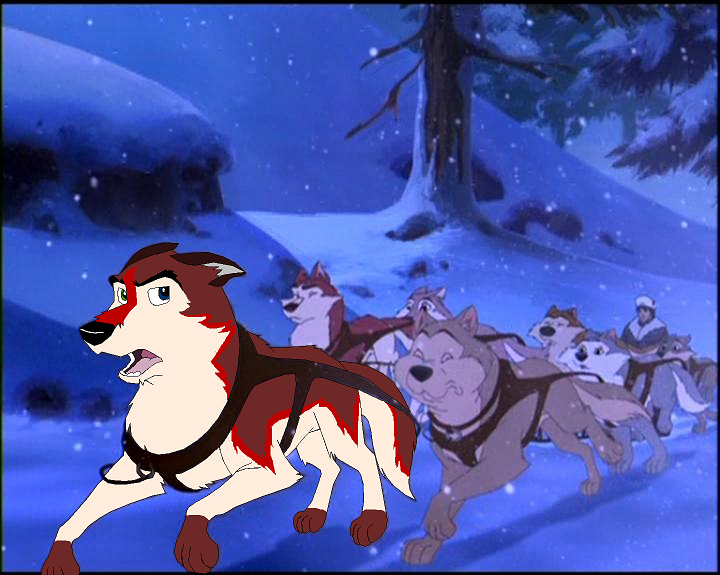I'll Never Ever Be Sled Dog...