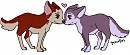 Kodi and Dusty