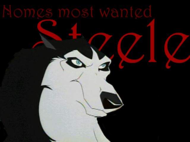 Nomes most wanted
