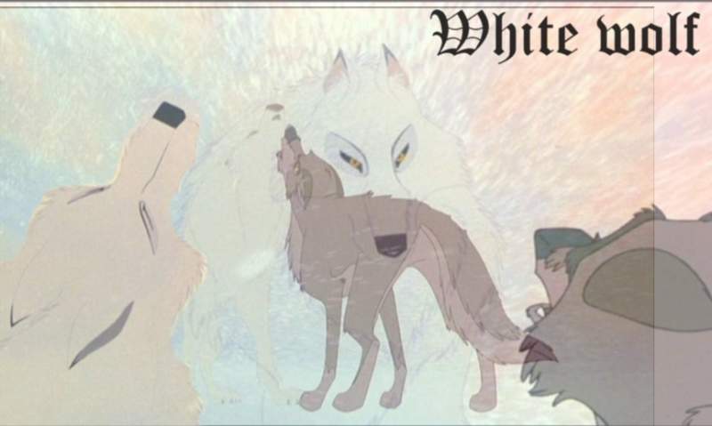 white wolf