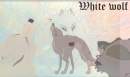 white wolf