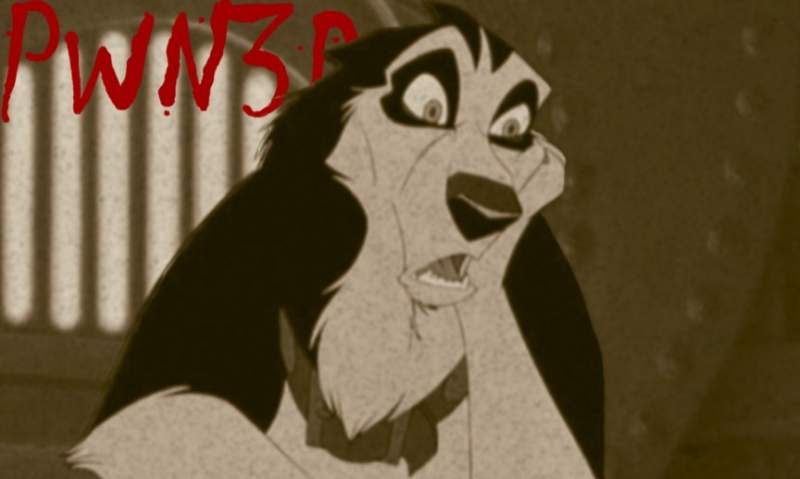 XD PWN3D