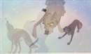 a dog can not make this joureny alone but. . .
