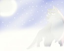 Lost (after)