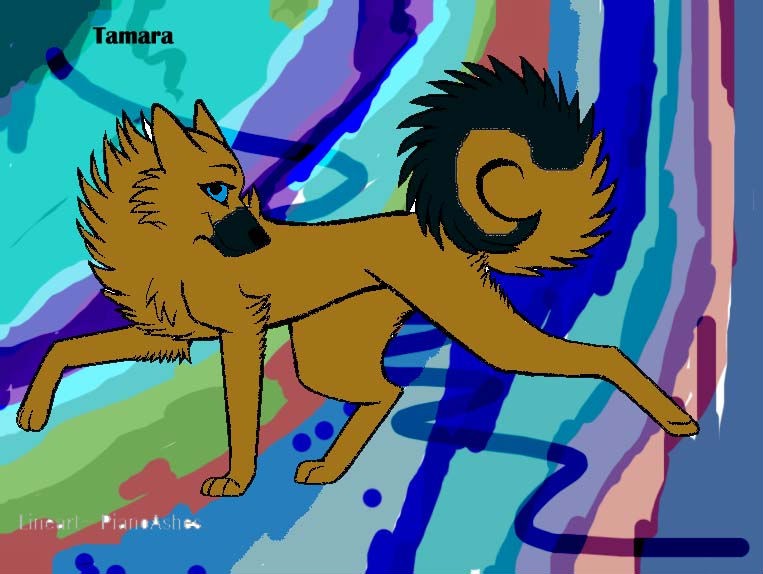 Tamara Tamara!