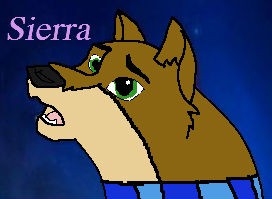 Sierra Avvie 8D