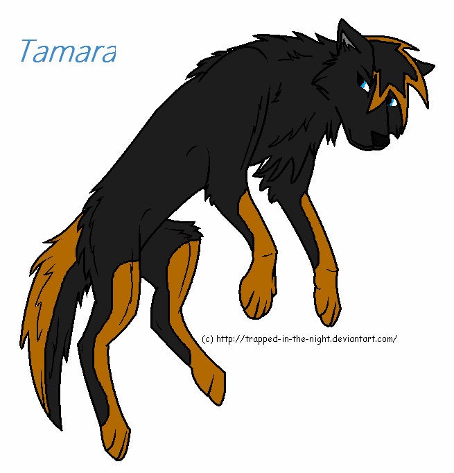 Brand new Tamara.