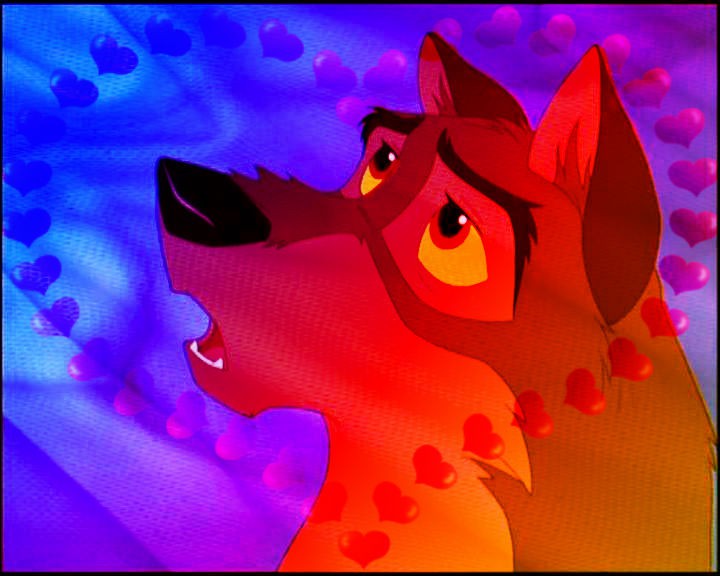 Balto avvie.