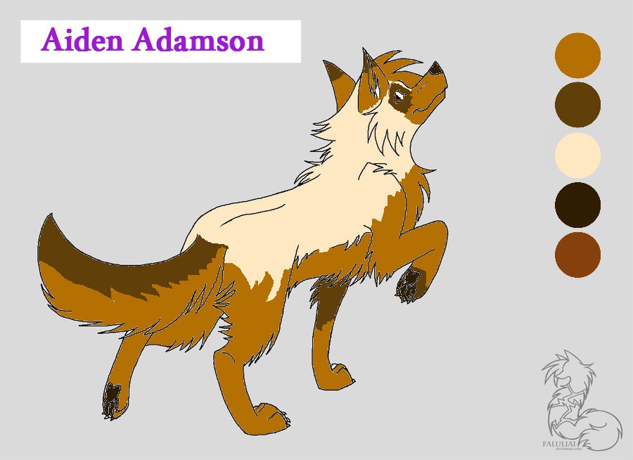 New Character~ Aiden