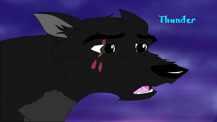 Thunderrr~