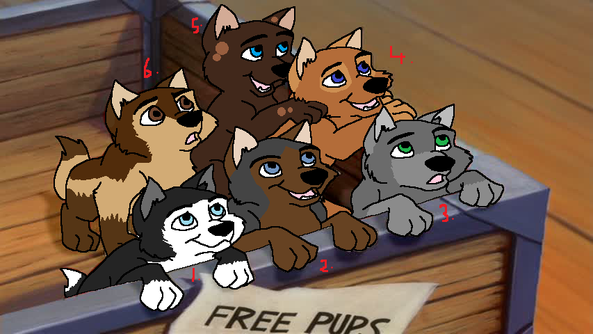 Adoptables.