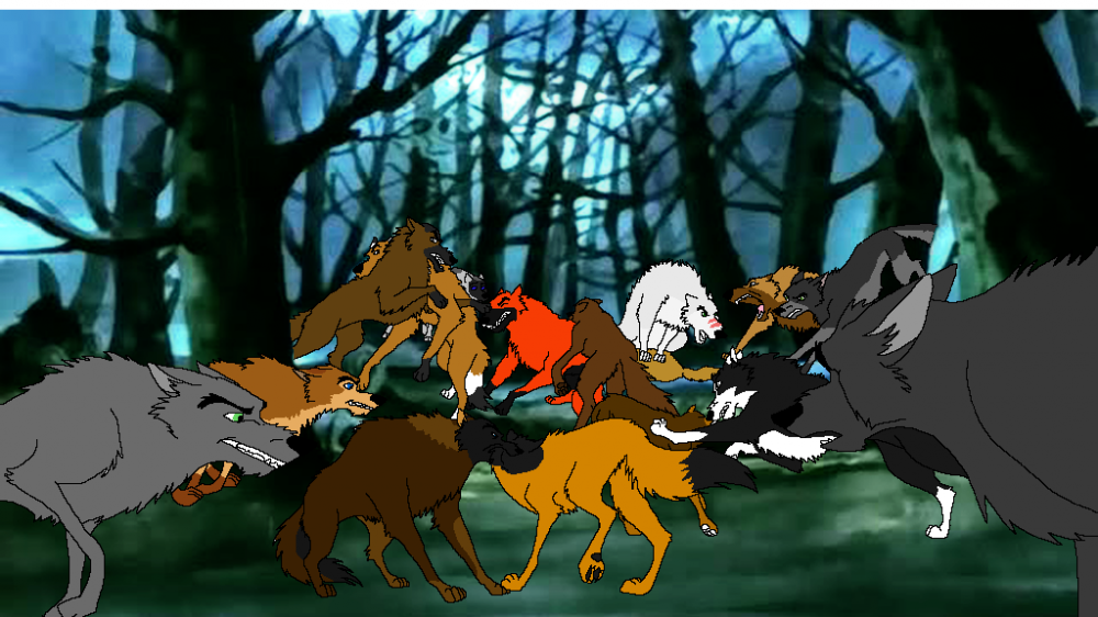 Wolf Fight O: