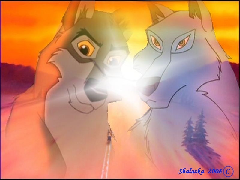 Balto & Aniu